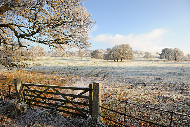 Winter Prep: Essential Tips to Keep You Ready for the Cold